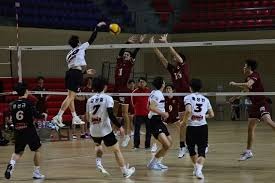 辽宁男篮王哲林末节关键表现出色